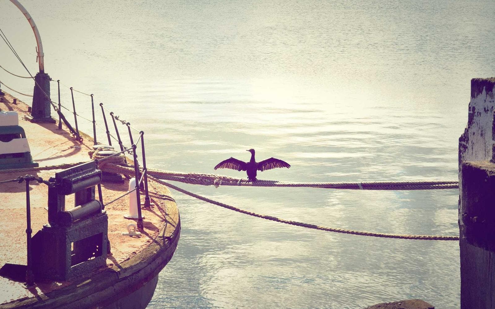 Спорт и отдых